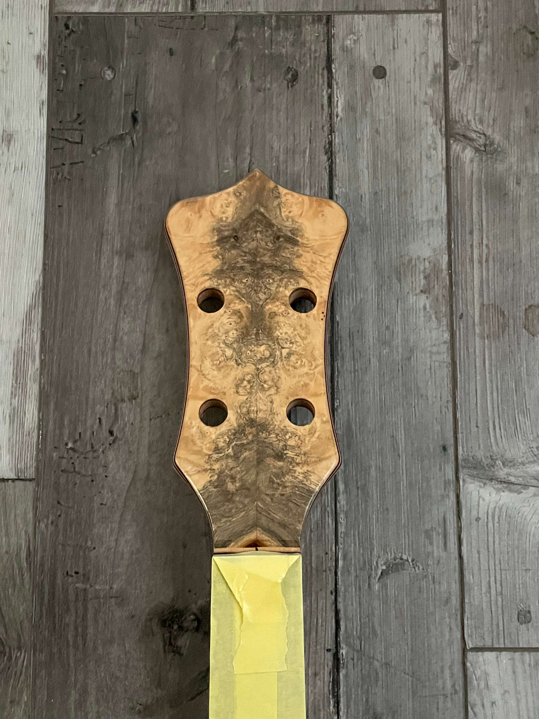 Alembic Signature Deluxe 4 Buckeye Burl