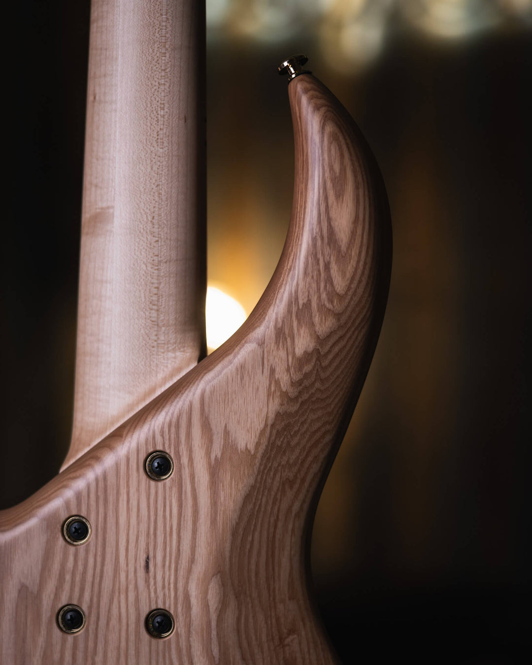 F Bass BN5 Buckeye Burl 2022 - Bajo Eléctrico | Gearhub 🌶️