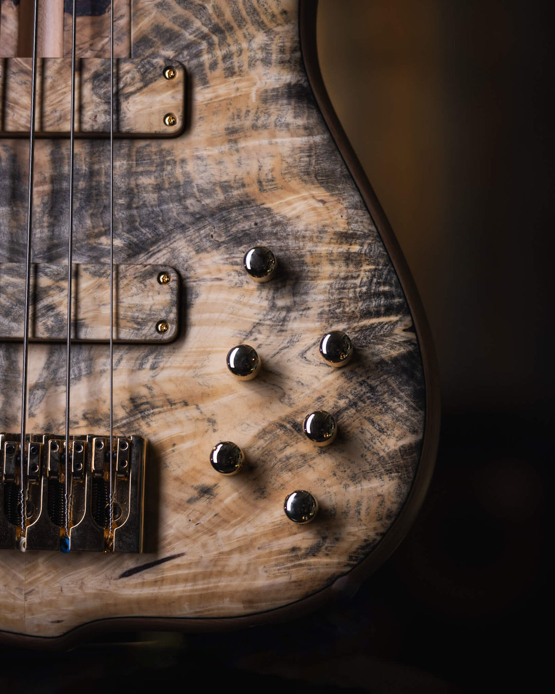 F Bass BN5 Buckeye Burl 2022 - Bajo Eléctrico | Gearhub 🌶️