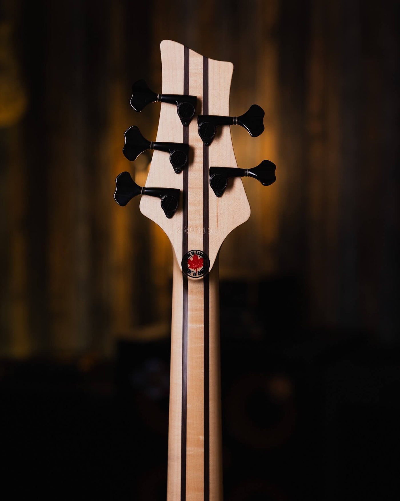 F Bass VF5-J Black 2019 - Bajo Eléctrico
