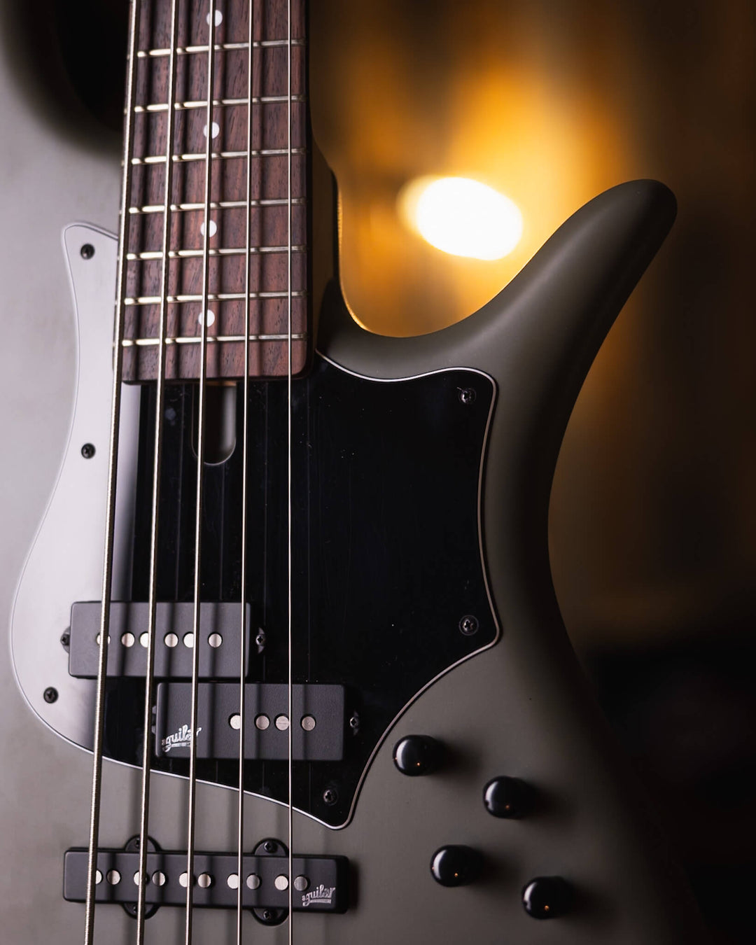 F Bass VF5-PJ Evergreen 2023 - Bajo Eléctrico | The VF Series captures the vibe and tone of the vintage ‘60s and ‘70s industry staples. While we stay true to the originals, we’ve trickled in much of what we’ve learned in these past 50+ years. Being fans a