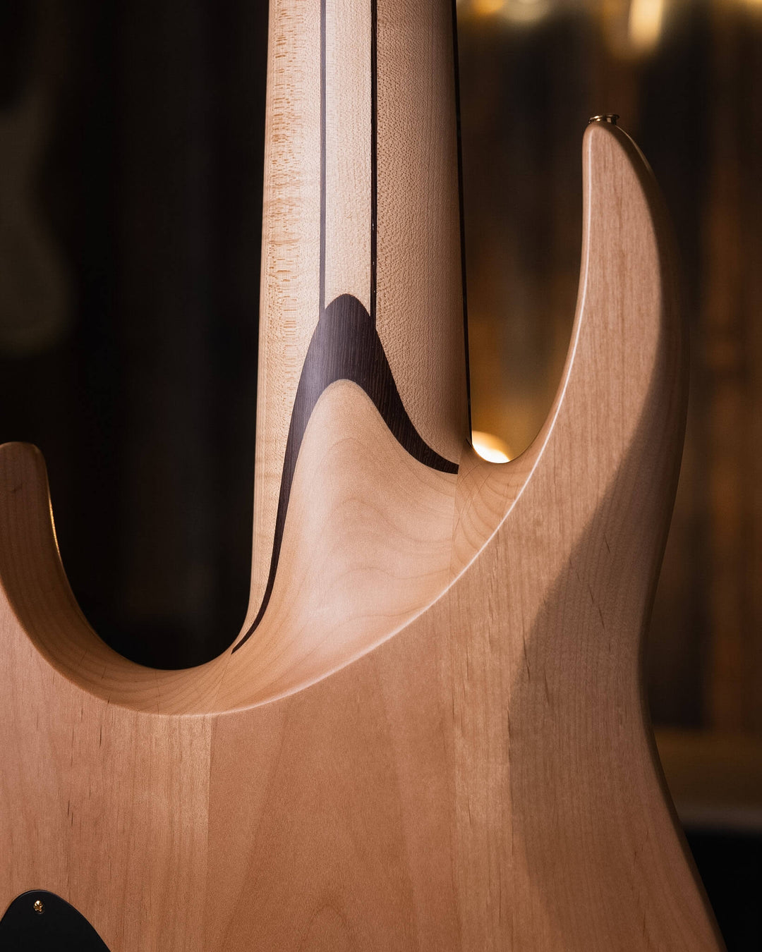 Fodera Contrabass 6 Elite Holly Anthony Jackson 2022