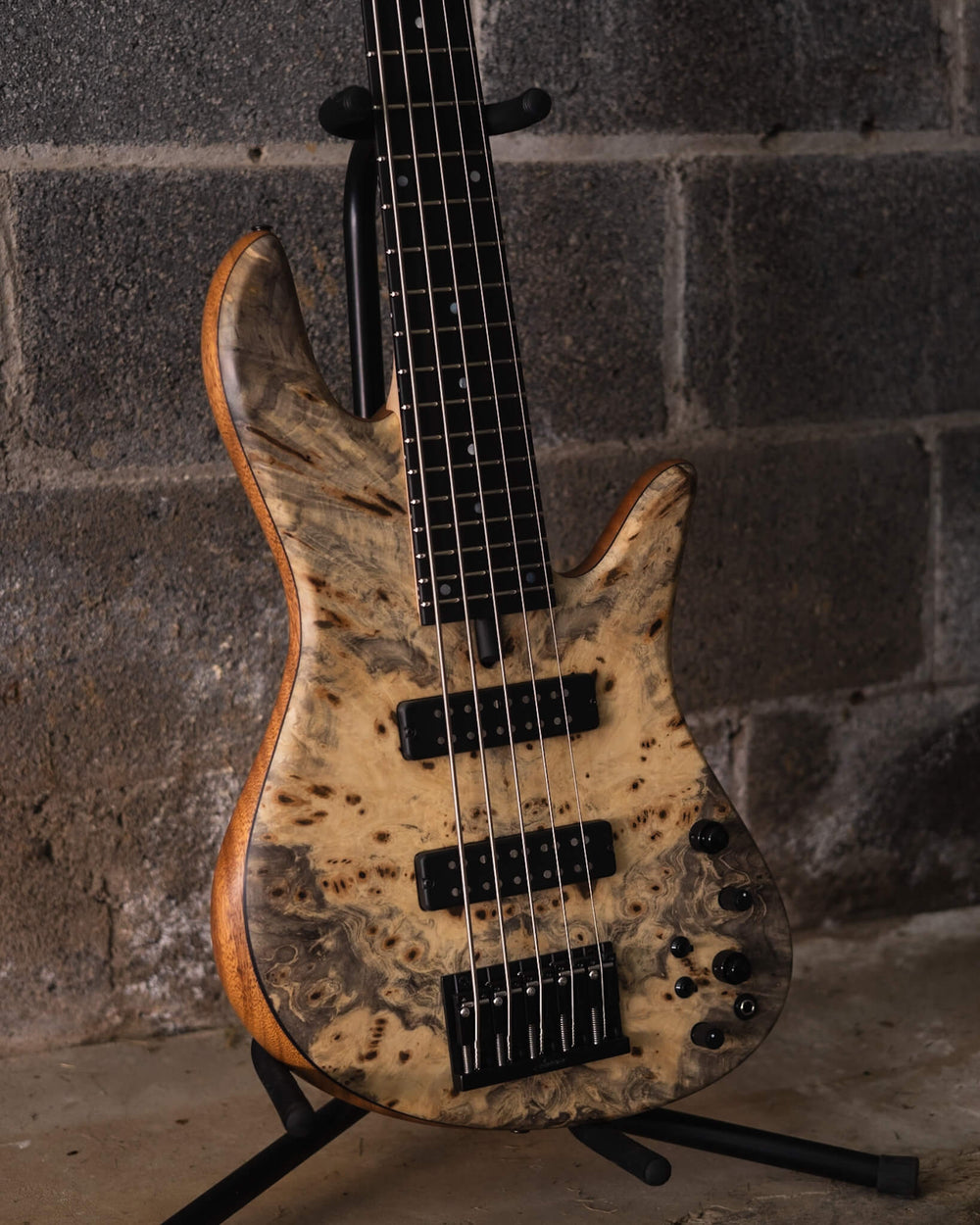 Fodera Emperor 5 Standard Special Buckeye Burl (End-2024) - Bajo Eléctrico | Cuerpo • Modelo: Emperor 5 Standard Special• Madera: Mahogany• Top: Buckeye Burl• Terminación: Satin Brazo • Madera: 3 Piezas de Hard-Rock Maple• Perfil: Standard • Terminación: