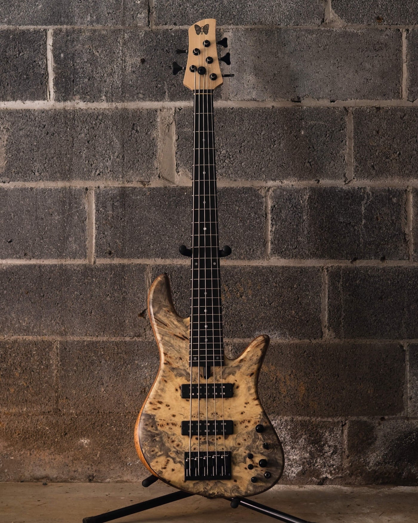 Fodera Emperor 5 Standard Special Buckeye Burl (End-2024) - Bajo Eléctrico