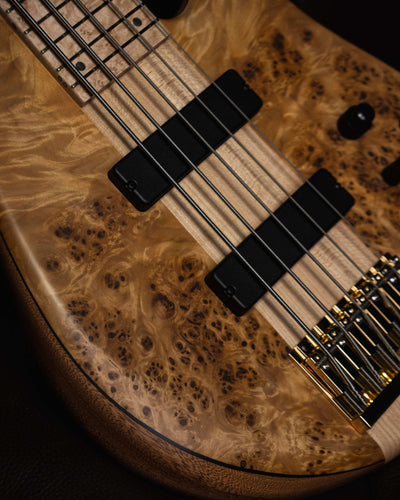 Fodera Imperial 5 Elite Poplar Burl - Bajo Eléctrico