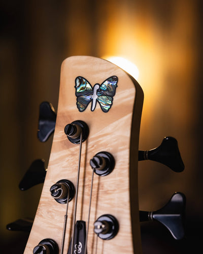 Fodera Monarch 5 Deluxe Box Elder 2021 - Bajo Eléctrico