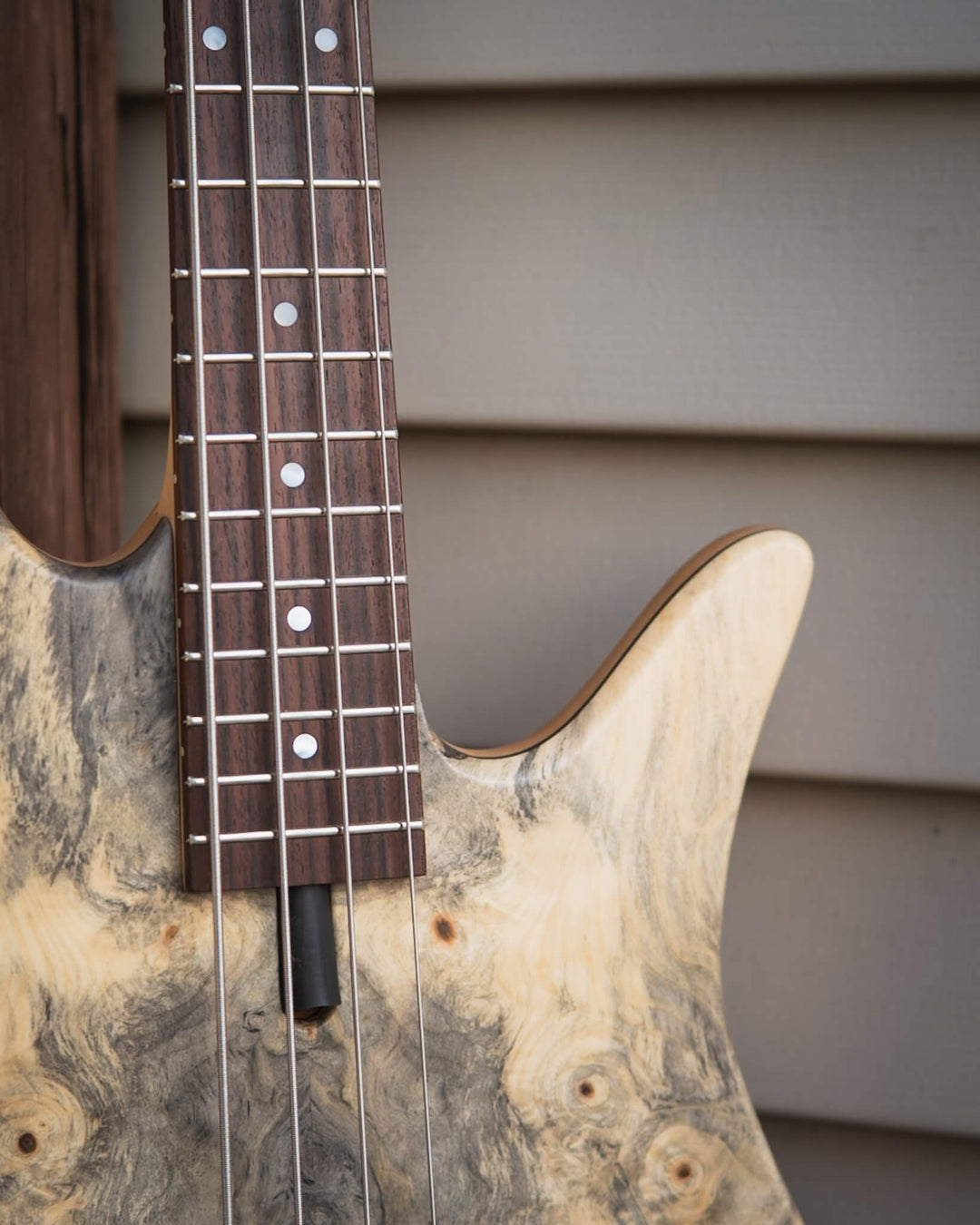 Fodera Monarch M Standard Special Buckeye Burl 2026